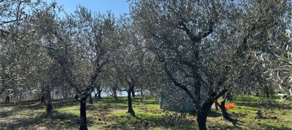 13136m² Land in Arquà Petrarca, Italy No. 60448 3