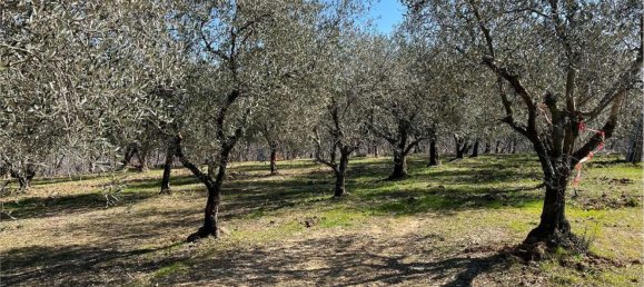 13136m² Land in Arquà Petrarca, Italy No. 60448 6