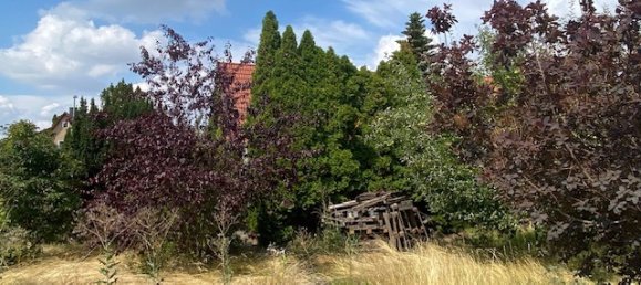 3 Schlafzimmer Stadthaus in Leipzig, Germany, Nr. 224317 20
