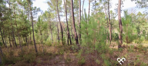  Land in Silgueiros, Portugal No. 65480 6