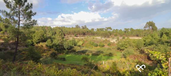  Land in Silgueiros, Portugal No. 65480 5