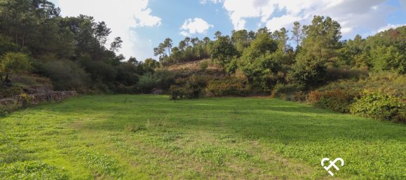  Land in Silgueiros, Portugal No. 65480 3