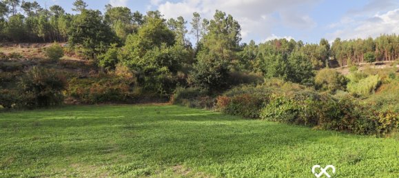  Land in Silgueiros, Portugal No. 65480 4