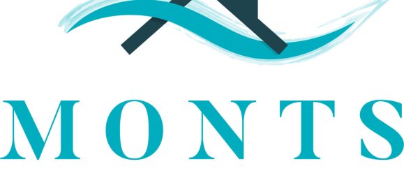 Propiedad comercial en Notre-Dame-de-Monts, France 70 m² No. 282494 6