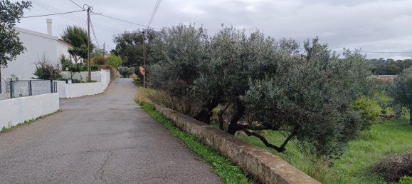  Land in Sao Bras de Alportel, Portugal No. 158783 4