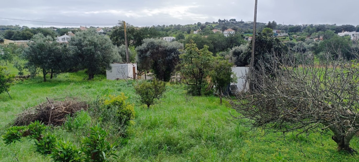  Land in Sao Bras de Alportel, Portugal No. 158783