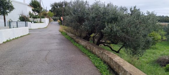  Land in Sao Bras de Alportel, Portugal No. 158783 3