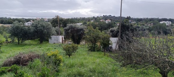  Land in Sao Bras de Alportel, Portugal No. 158783 2