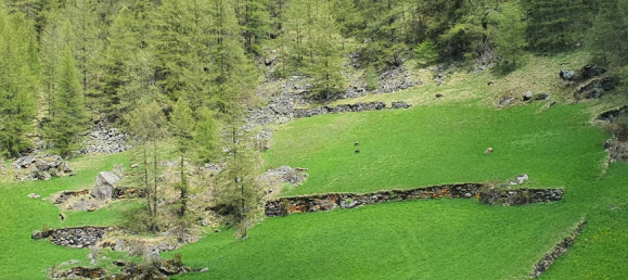 3-Zimmer Wohnung in Sölden, Austria, Nr. 22957 14