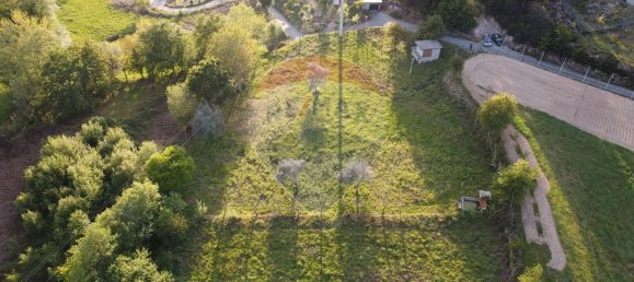 4360m² Land in Rossas, Portugal No. 25774 12