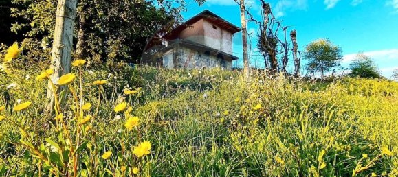 4360m² Land in Rossas, Portugal No. 25774 14