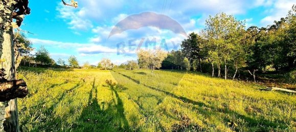 4360m² Land in Rossas, Portugal No. 25774 23