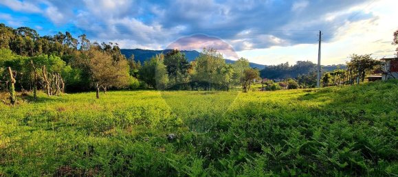 4360m² Land in Rossas, Portugal No. 25774 4