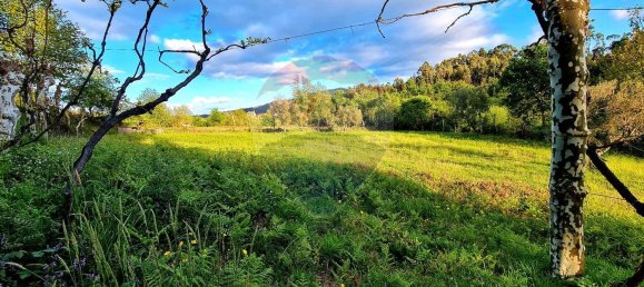 4360m² Land in Rossas, Portugal No. 25774 3