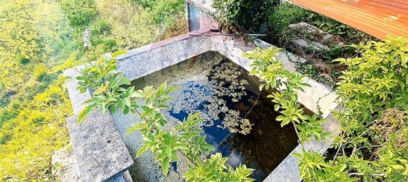 4360m² Land in Rossas, Portugal No. 25774 2