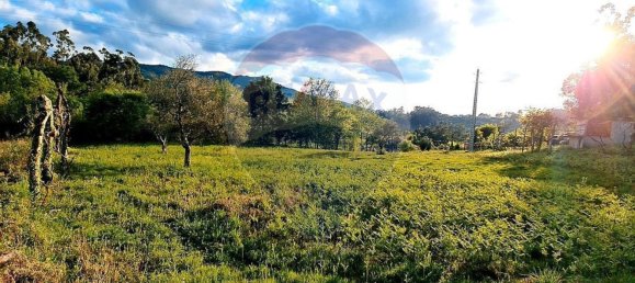 4360m² Land in Rossas, Portugal No. 25774 13