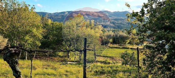 4360m² Land in Rossas, Portugal No. 25774 18