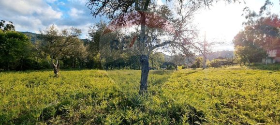 4360m² Land in Rossas, Portugal No. 25774 16