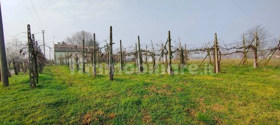 3 Schlafzimmer Haus in Montagnana, Italy, Nr. 108651 21