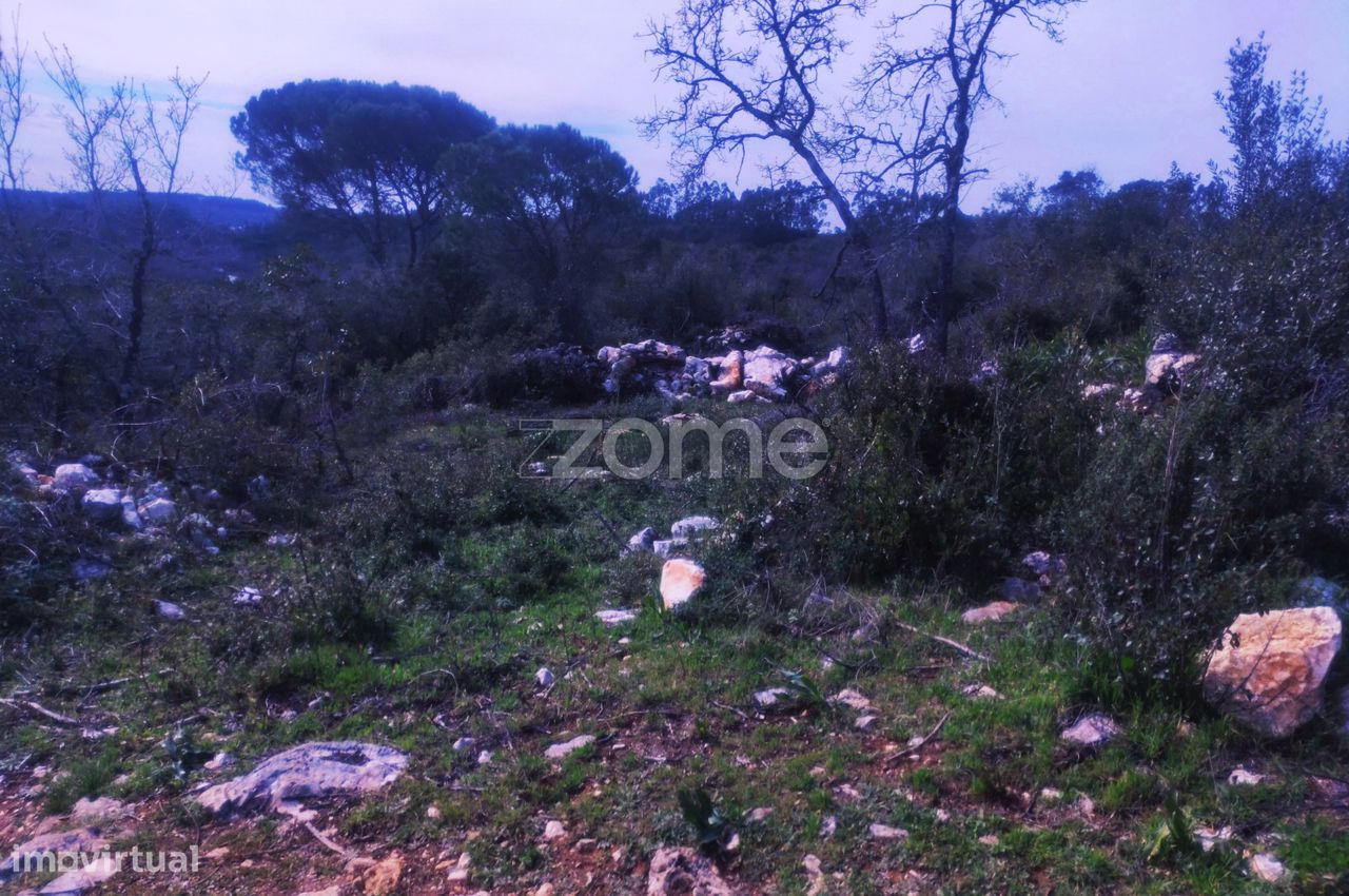1000m² Land in Ansiao, Portugal No. 86067