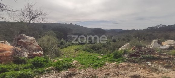 1000m² Land in Ansiao, Portugal No. 86067 3
