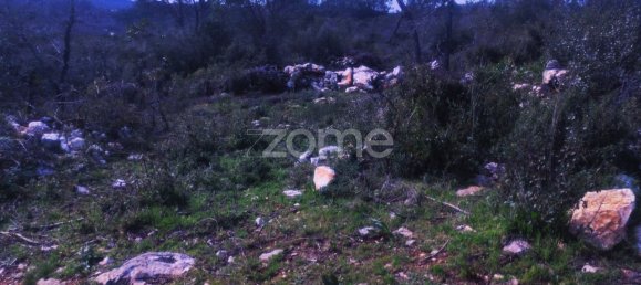 1000m² Land in Ansiao, Portugal No. 86067 6