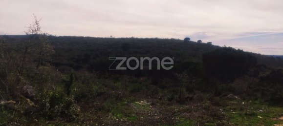 1000m² Land in Ansiao, Portugal No. 86067 12