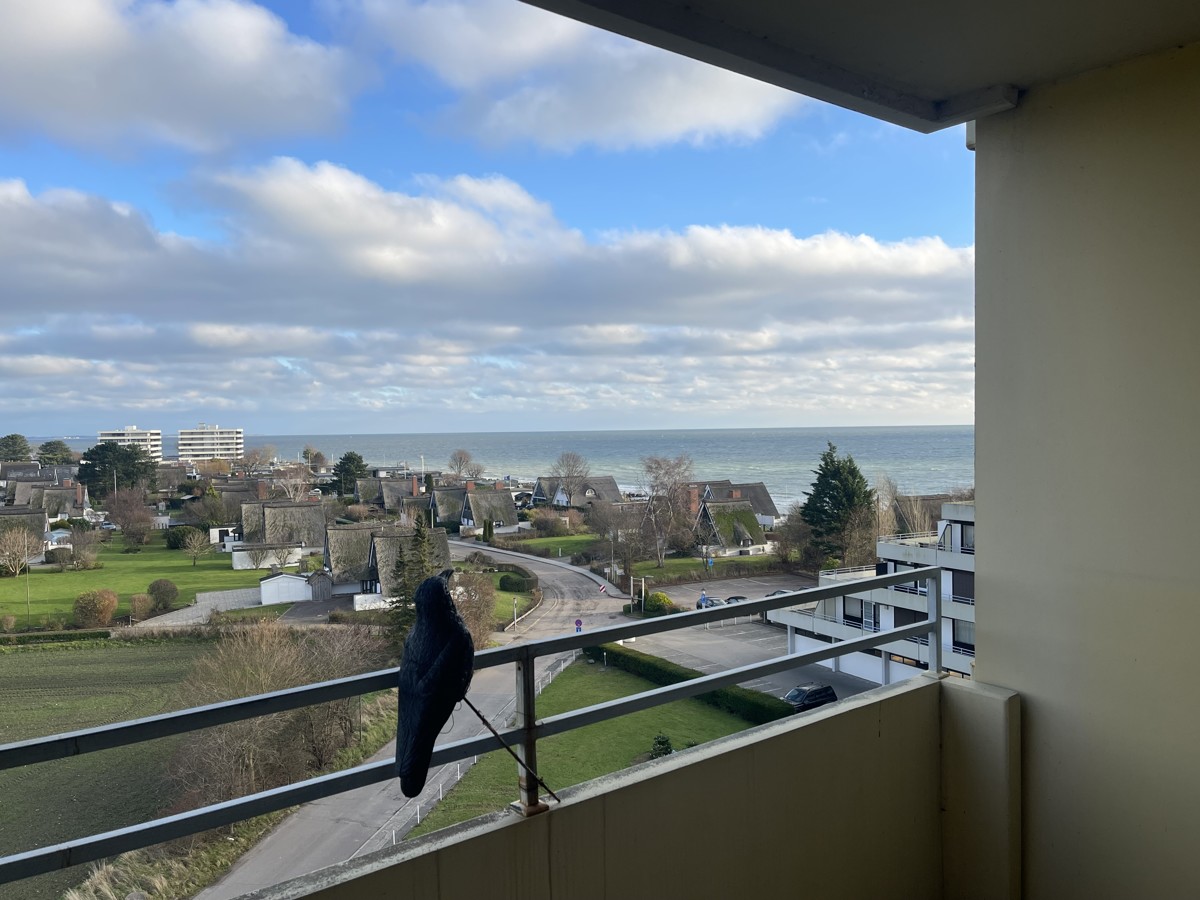 3-salle Appartement à Ostholstein, Germany No. 12565