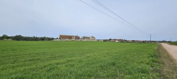 55000m² Hotel in Chalkidiki, Greece No. 5319 5