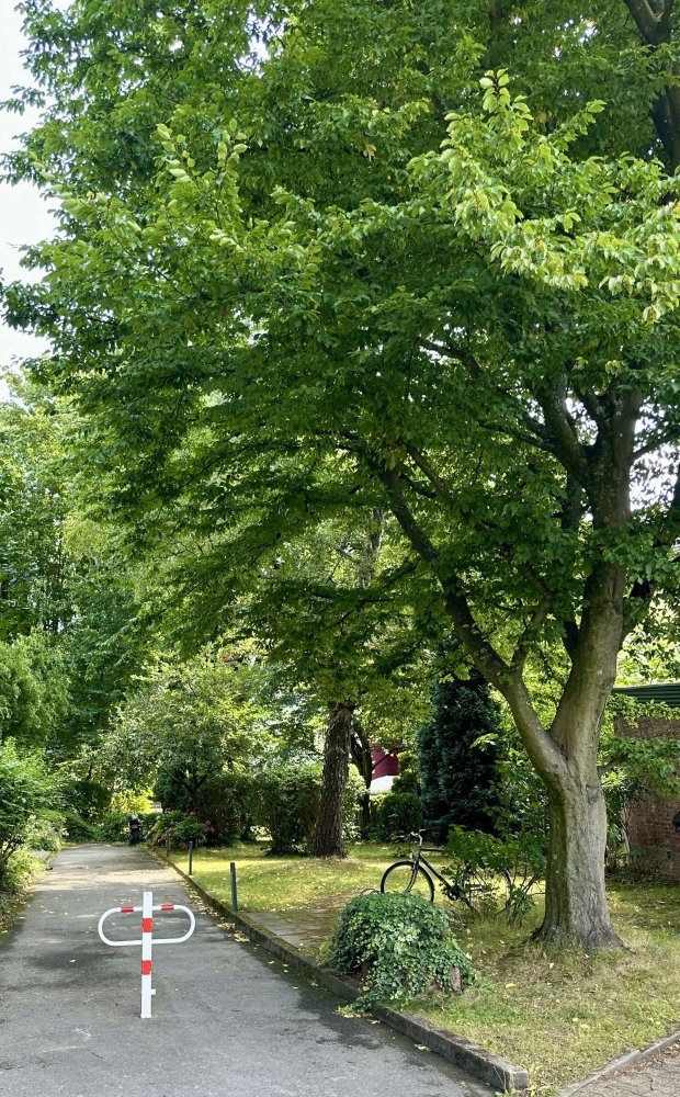 1 chambre Appartement à Essen, Germany No. 349011