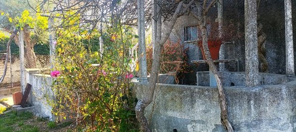 Casa T3 em Comenda, Portugal N.º 30243 8