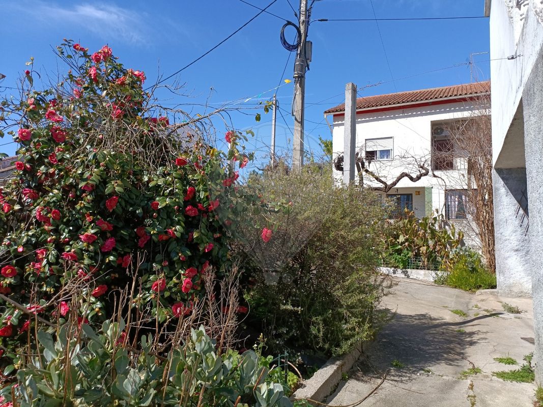 Casa T3 em Comenda, Portugal N.º 30243