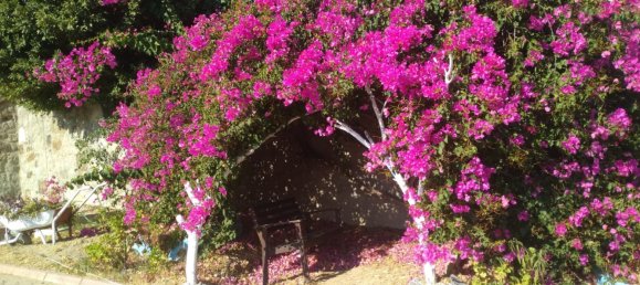 Apartamento de 2+1 en Bodrum, Turkey No. 4815 6