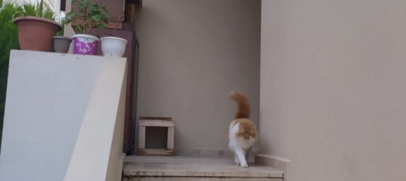 Apartamento de 2+1 en Bodrum, Turkey No. 4815 5