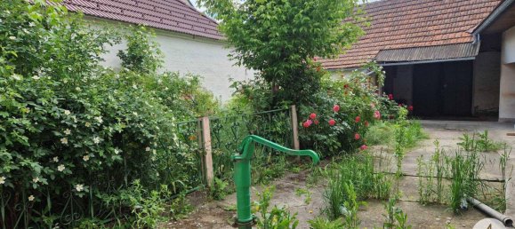 3غرفة منزل في Haugsdorf, Austria رقم 174243 16