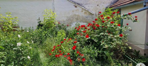 3غرفة منزل في Haugsdorf, Austria رقم 174243 14