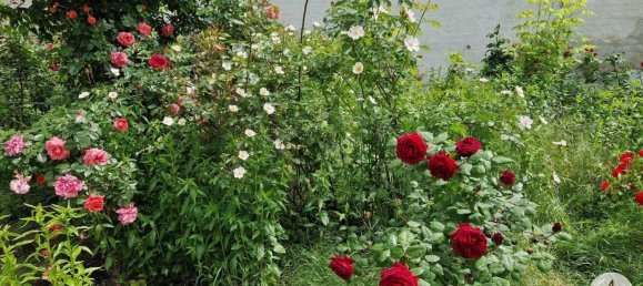 3غرفة منزل في Haugsdorf, Austria رقم 174243 17