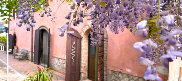8 rooms House in Santa Luce, Italy No. 208798 2