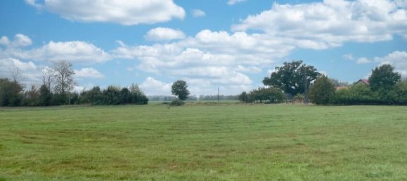 6-Zimmer Stadthaus in Ludwigslust-Parchim, Germany, Nr. 128766 6