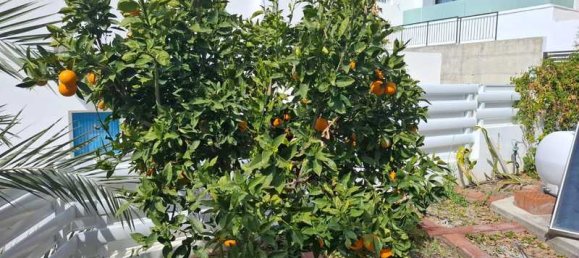 5 Schlafzimmer Gewerbliche Immobilie in Chloraka, Cyprus, Nr. 21418 16