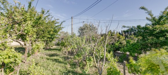 Дом с 2 спальнями в Торриш Ведраш, Португалия № 48120 6