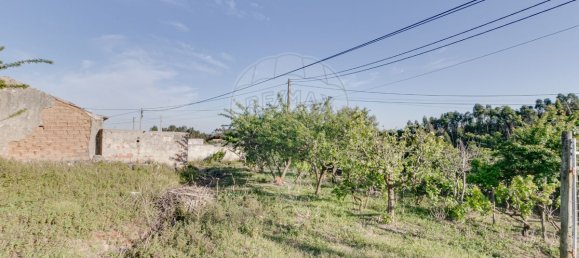 Дом с 2 спальнями в Торриш Ведраш, Португалия № 48120 5