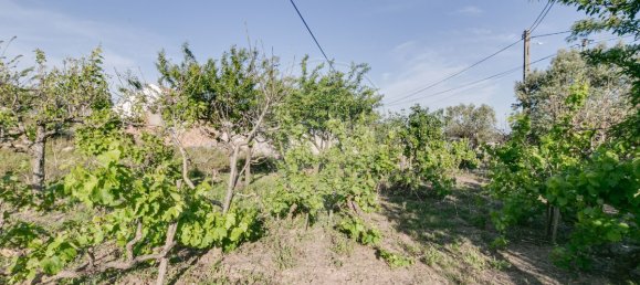 Дом с 2 спальнями в Торриш Ведраш, Португалия № 48120 2