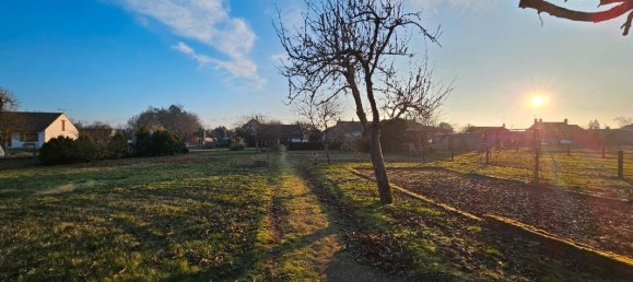 Casa T3 em Selles-Saint-Denis, France N.º 83472 39