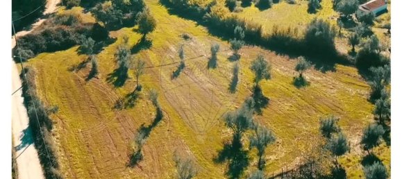 Дом с 1 спальней в Колуш, Португалия № 31282 3