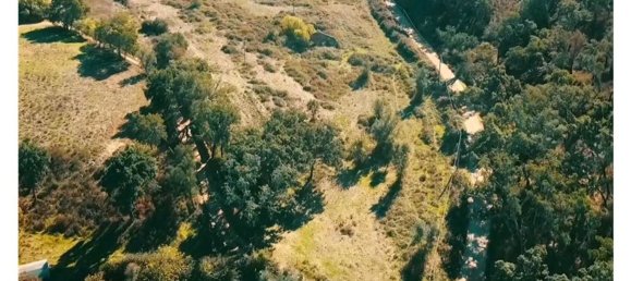 Дом с 1 спальней в Колуш, Португалия № 31282 7