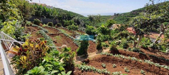 3 chambres Villa à Funchal, Portugal No. 143451 17