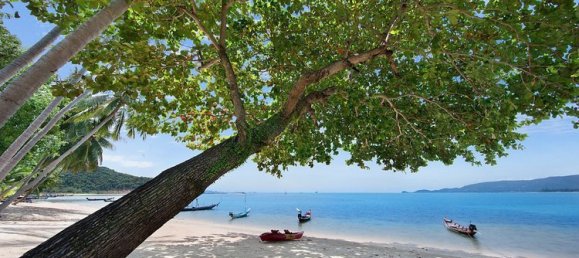 5 Schlafzimmer Cafe / Restaurant in Ko Samui, Thailand, Nr. 11838 20