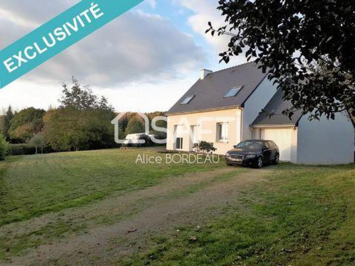 4 bedrooms House in Pluvigner, France No. 6834