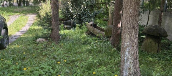 Дом с 2 комнатами в Альтенмаркт ан дер Тристинг, Австрия № 2489 6